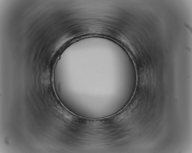 X0000098141019200804241709