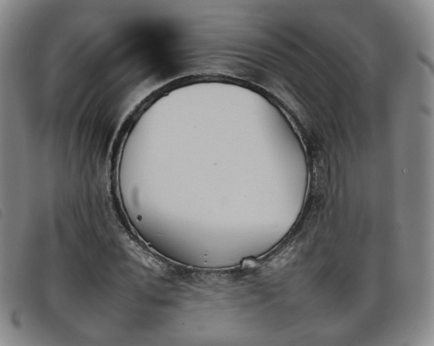 X0000098141020200804241709