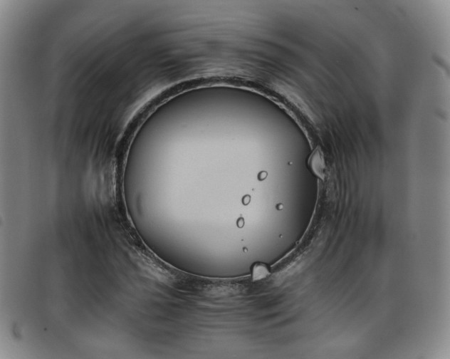 X0000098141021200804241709