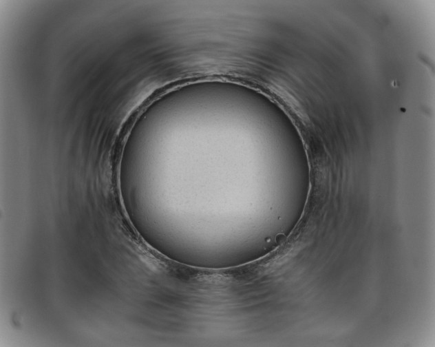 X0000098141023200804241709