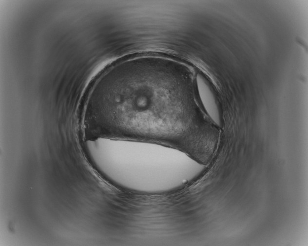 X0000098141024200804241709