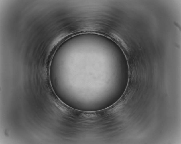 X0000098141027200804241709