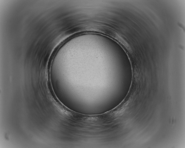 X0000098141028200804241709