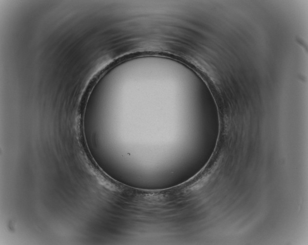 X0000098141029200804241709