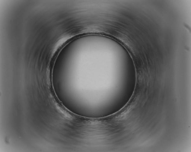 X0000098141030200804241709