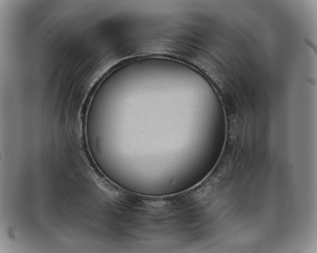 X0000098141031200804241709