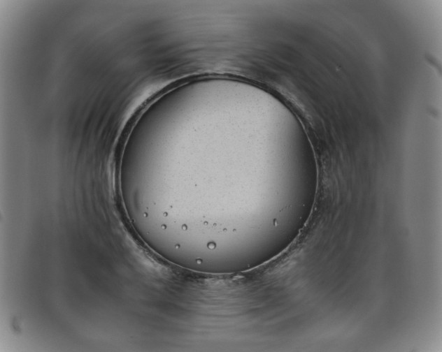 X0000098141032200804241709