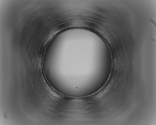 X0000098141033200804241709