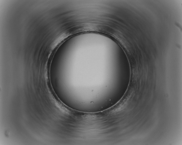 X0000098141034200804241709