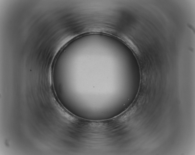 X0000098141036200804241709