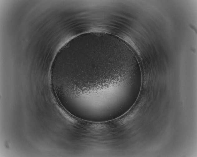 X0000098141037200804241709