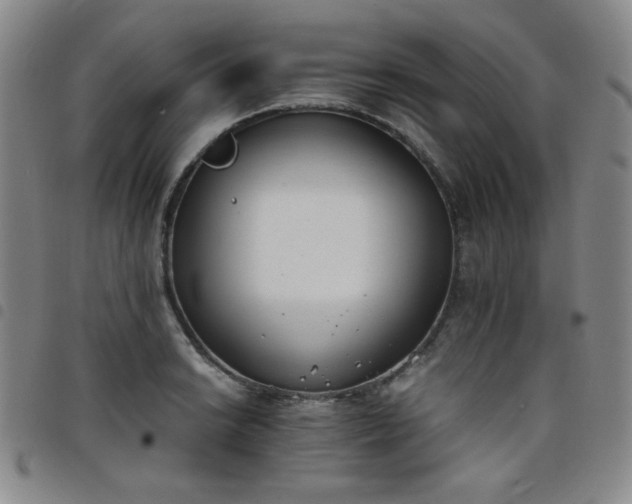X0000098141038200804241709