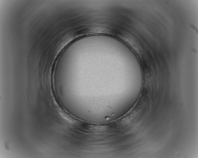 X0000098141039200804241709