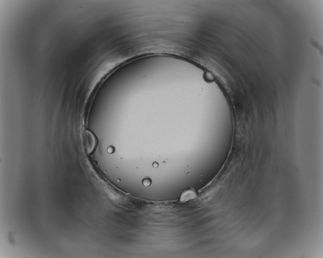 X0000098141040200804241709