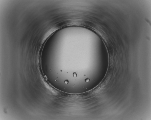 X0000098141042200804241709