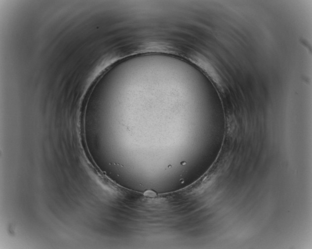 X0000098141043200804241709