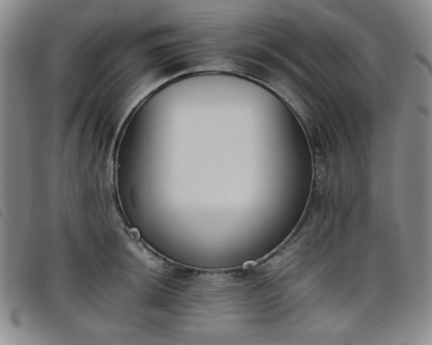 X0000098141044200804241709