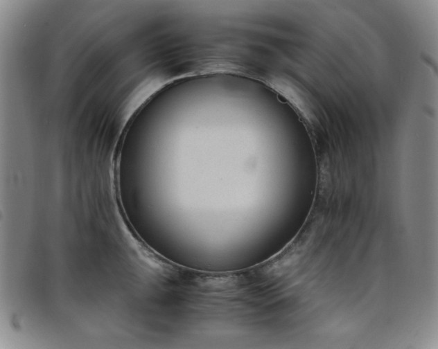 X0000098141047200804241709