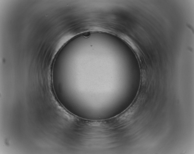 X0000098141048200804241709