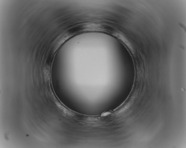 X0000098141049200804241709