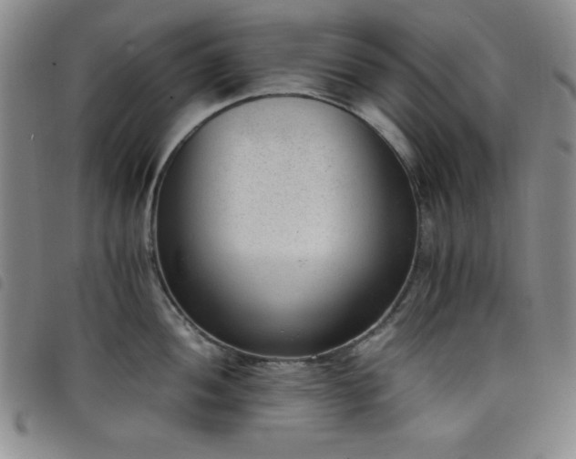 X0000098141052200804241710