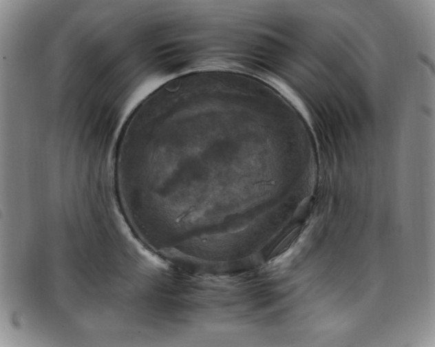 X0000098141053200804241710