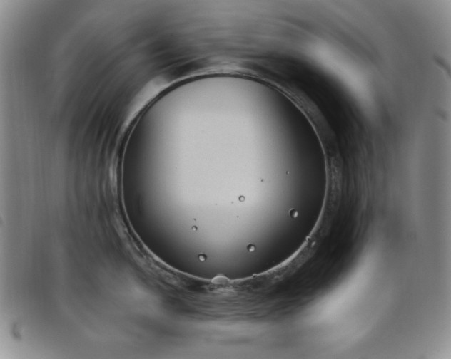 X0000098141054200804241710