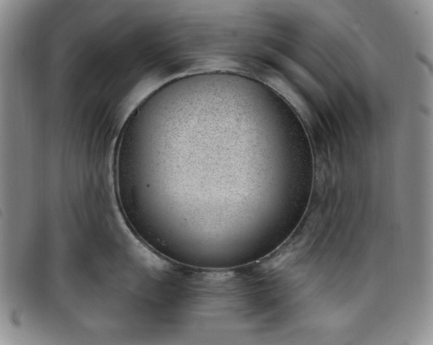 X0000098141055200804241710