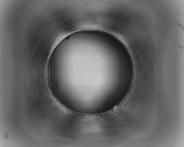 X0000098141056200804241710