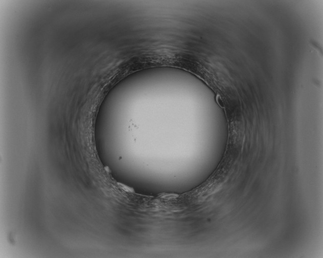 X0000098141057200804241709