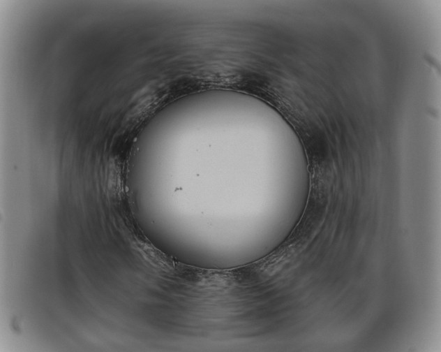 X0000098141058200804241709