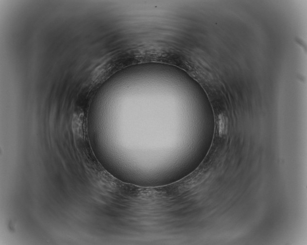 X0000098141059200804241709