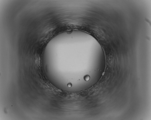 X0000098141061200804241709