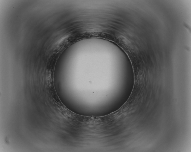 X0000098141062200804241709