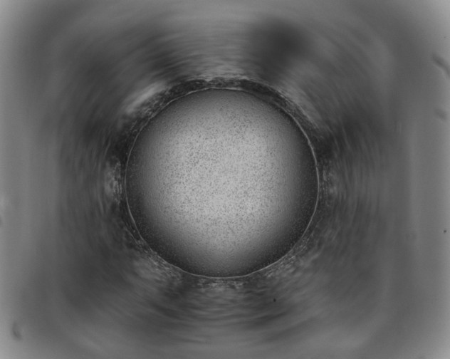 X0000098141063200804241709