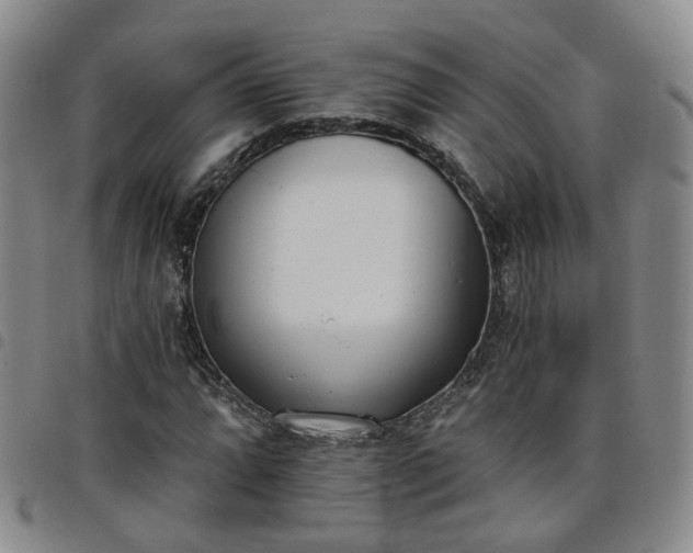 X0000098141064200804241709
