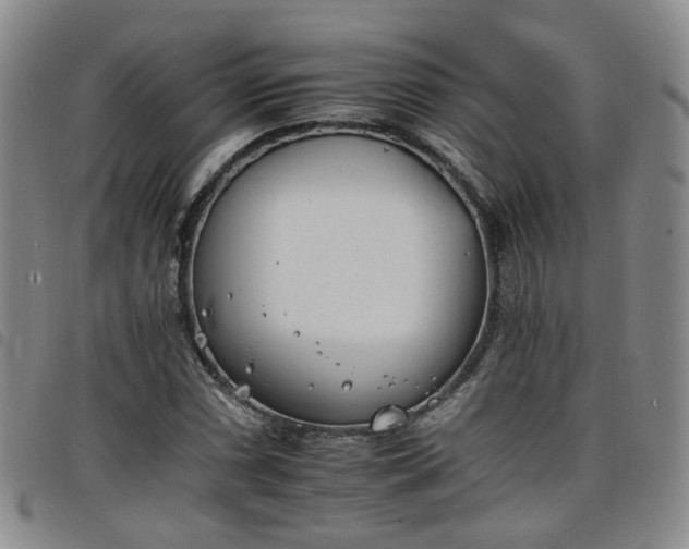 X0000098141066200804241709