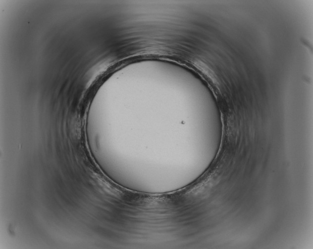 X0000098141067200804241709