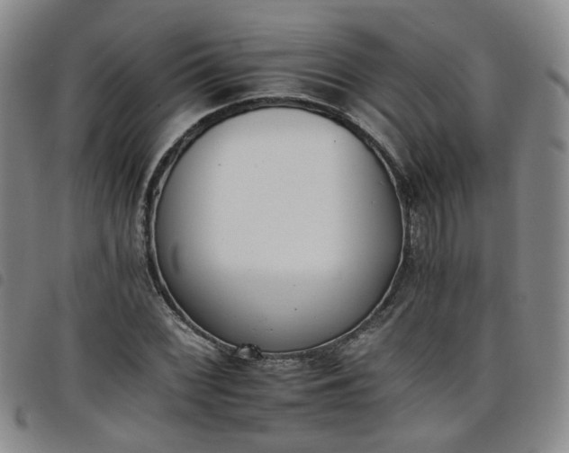 X0000098141068200804241709