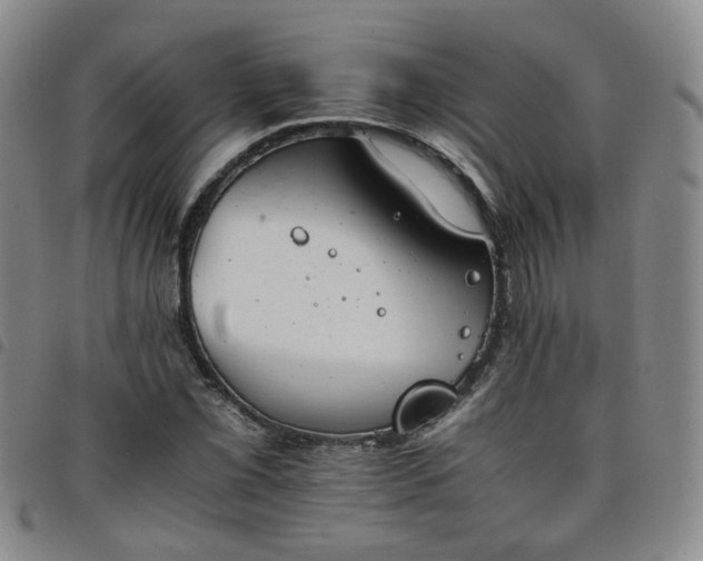 X0000098141069200804241709