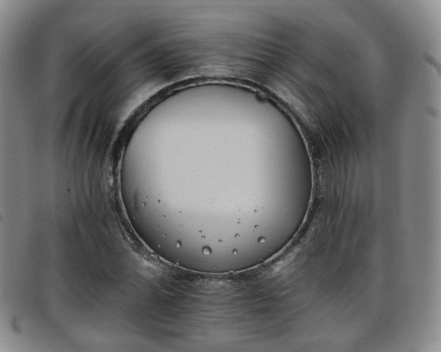 X0000098141070200804241709