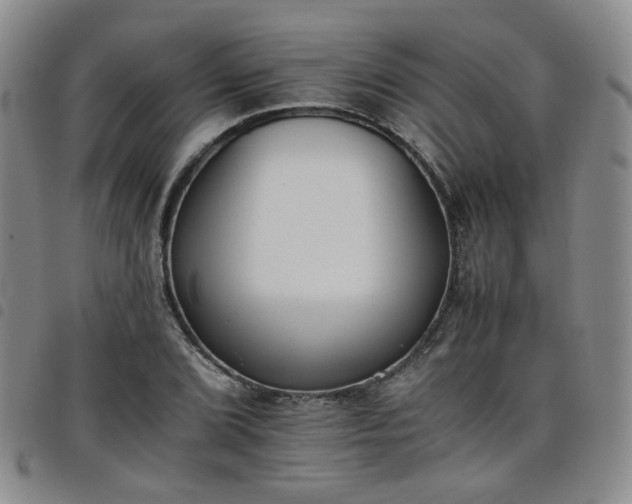 X0000098141072200804241709