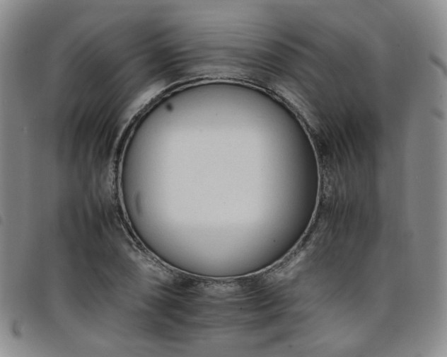 X0000098141074200804241708