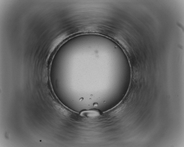 X0000098141075200804241708