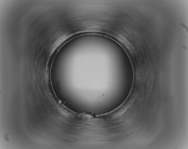 X0000098141077200804241708