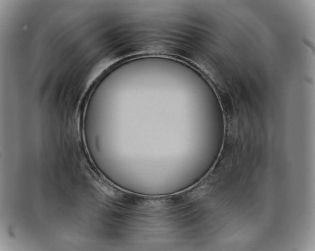 X0000098141078200804241708