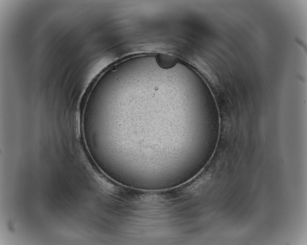 X0000098141079200804241708