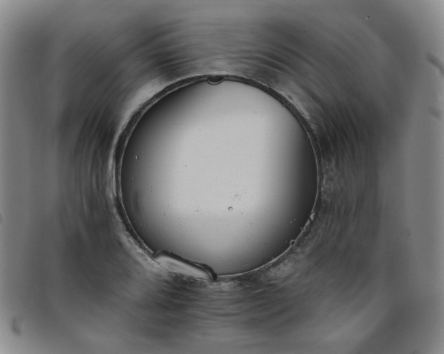 X0000098141080200804241708