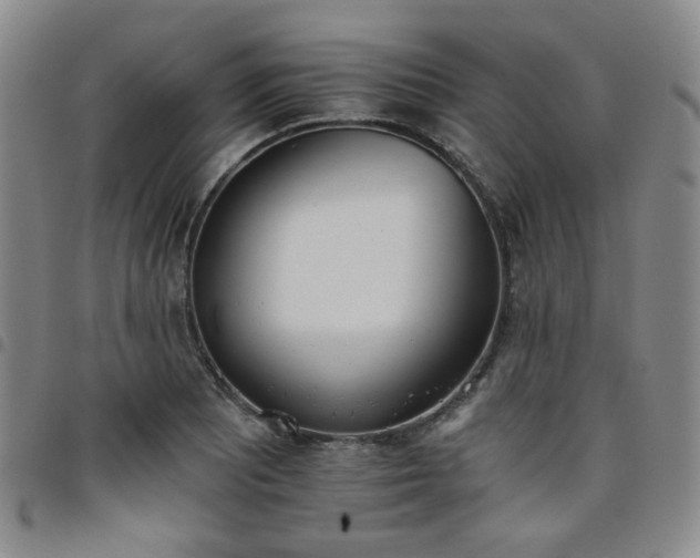 X0000098141081200804241708