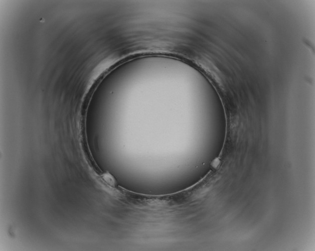 X0000098141085200804241708